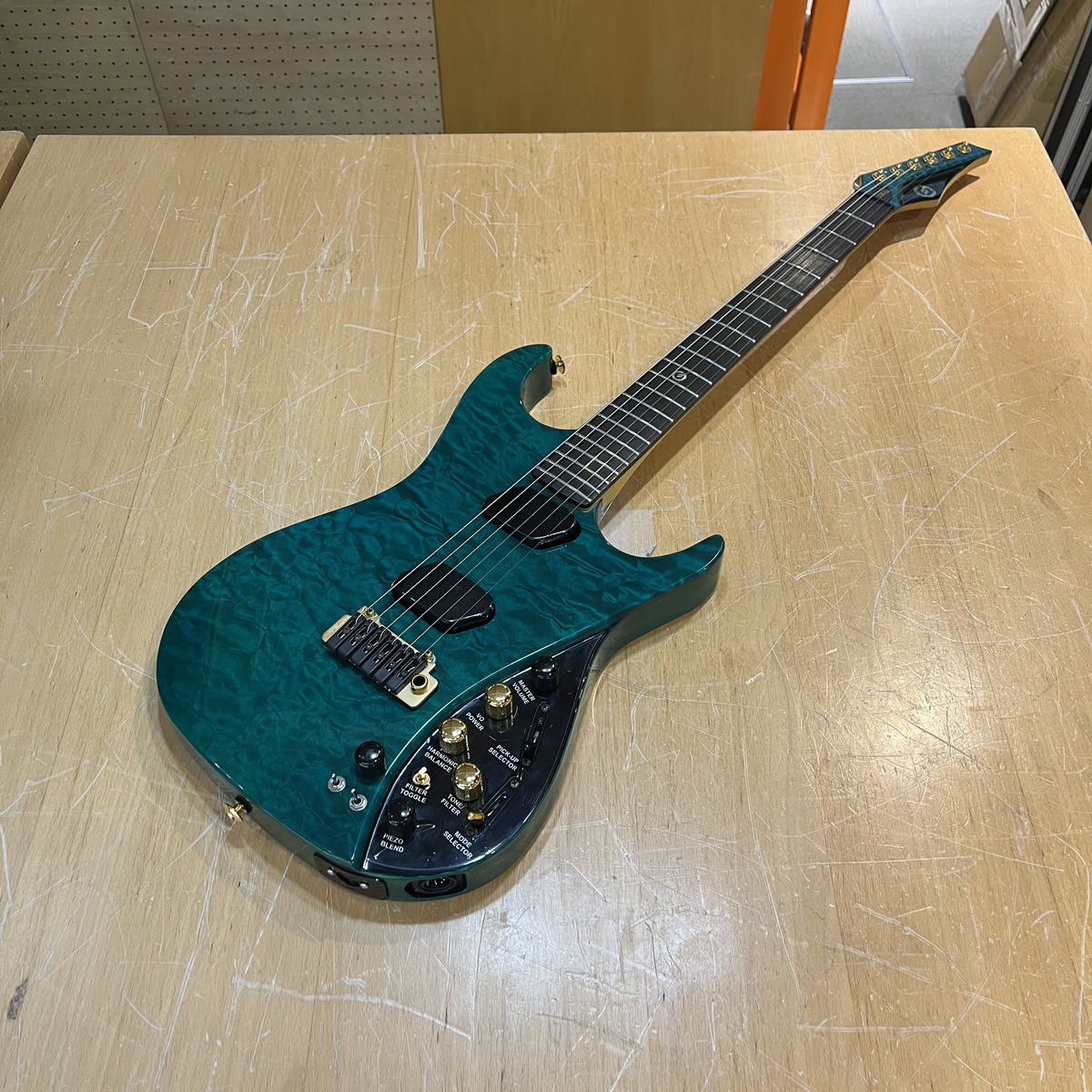 The Moog Guitar - Paul Vo Collector Edition