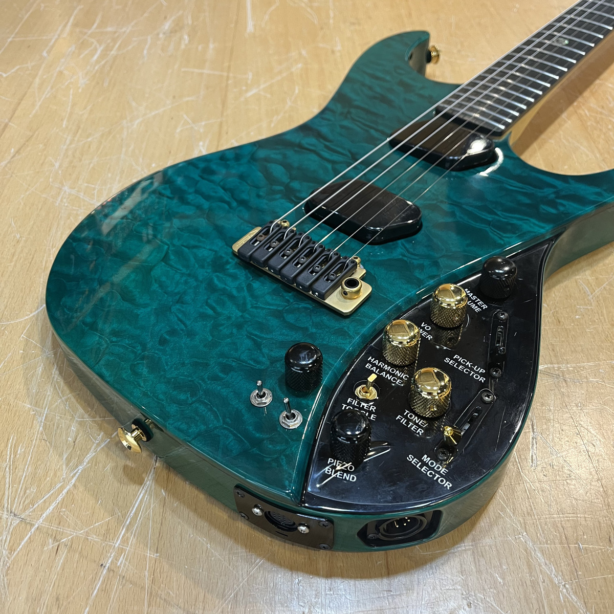 The Moog Guitar - Paul Vo Collector Edition