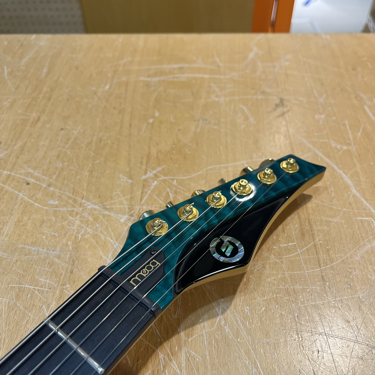 The Moog Guitar - Paul Vo Collector Edition