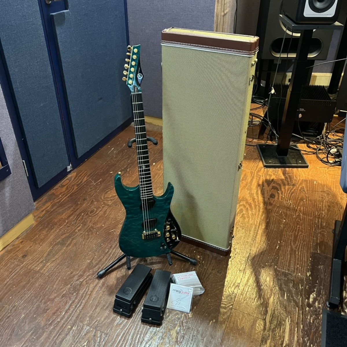 The Moog Guitar - Paul Vo Collector Edition