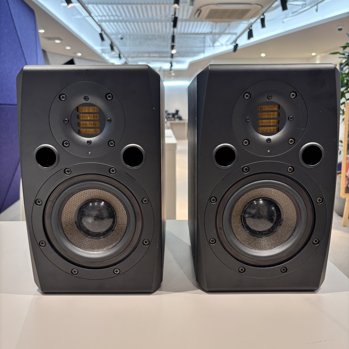 S1X (1pair)