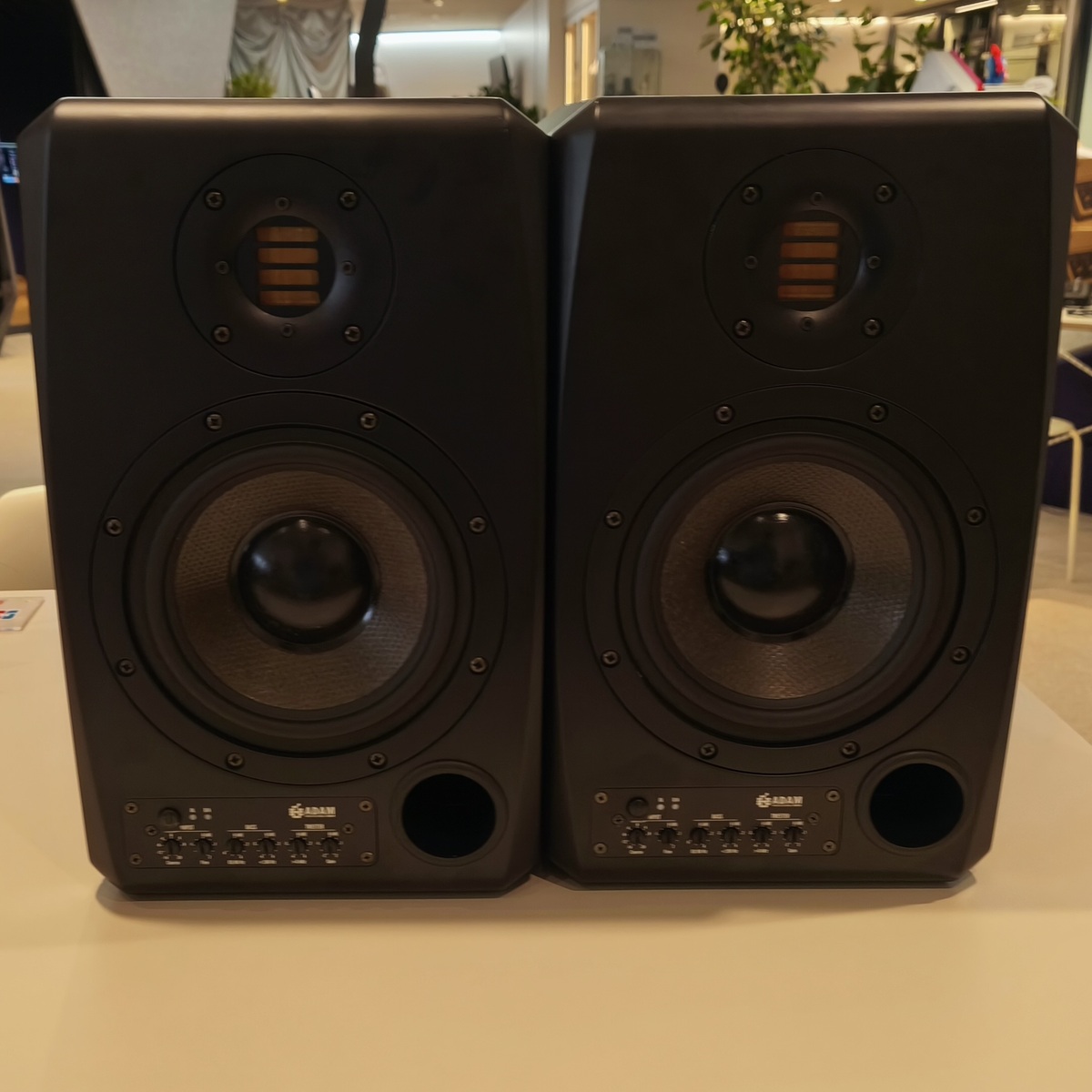 S2X (1pair)