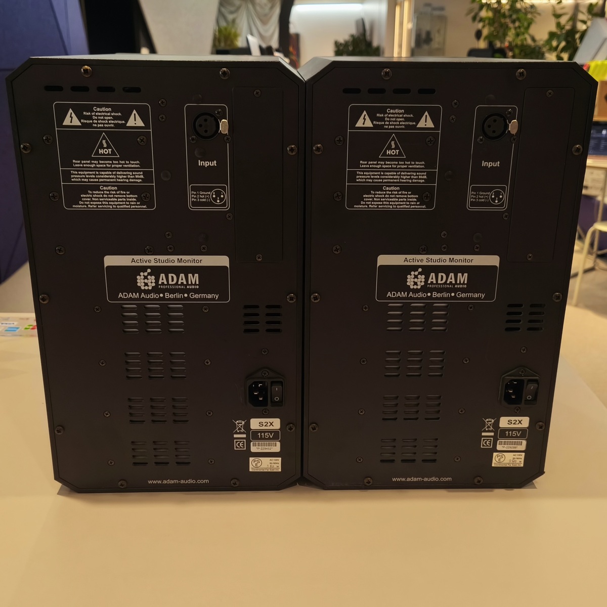 S2X (1pair)
