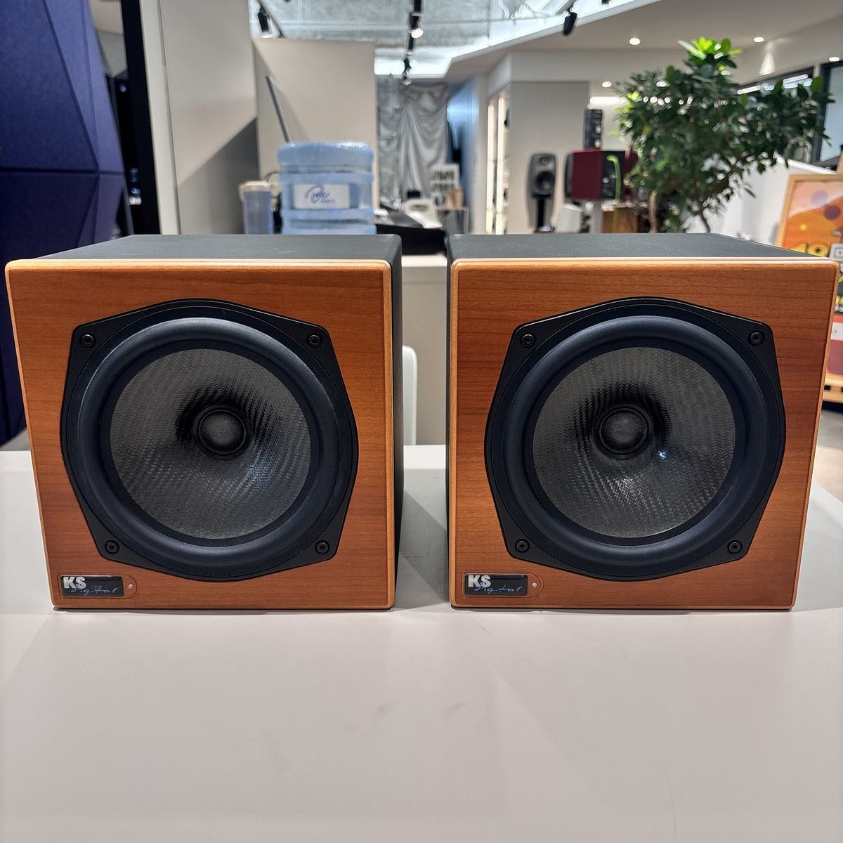 C5-Coax Rosewood（Pair）