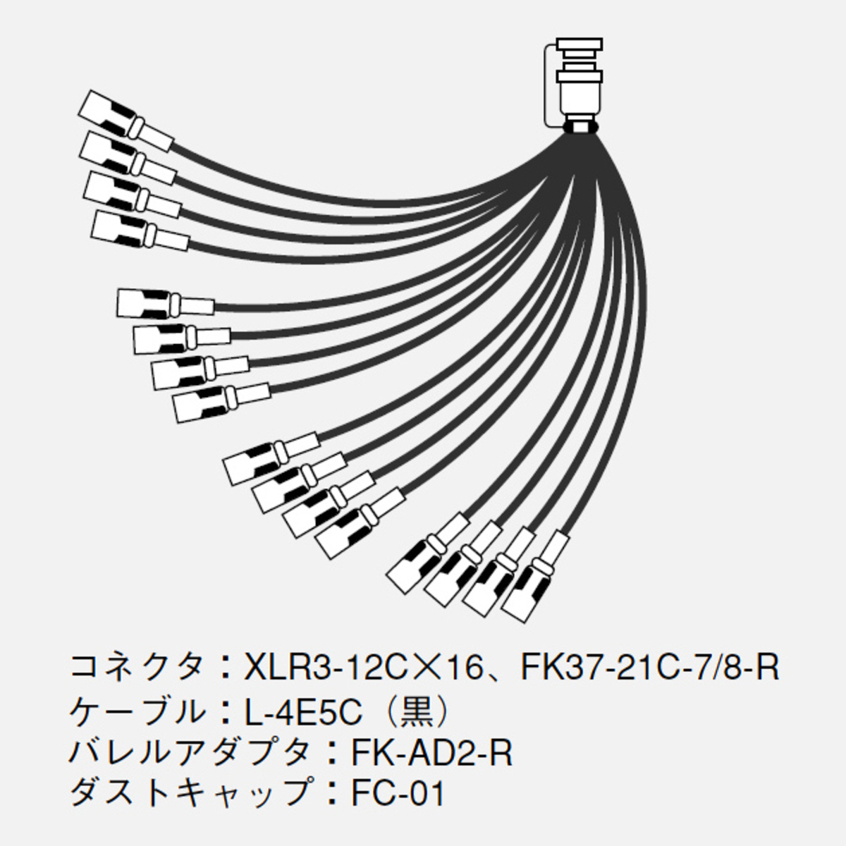 16S2F1（黒）