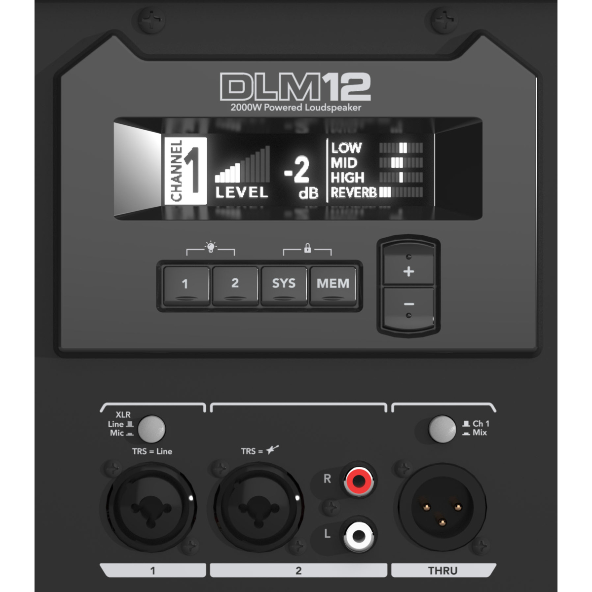 DLM12