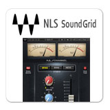 NLS Non-Linear Summer