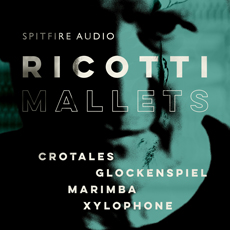 RICOTTI MALLETS