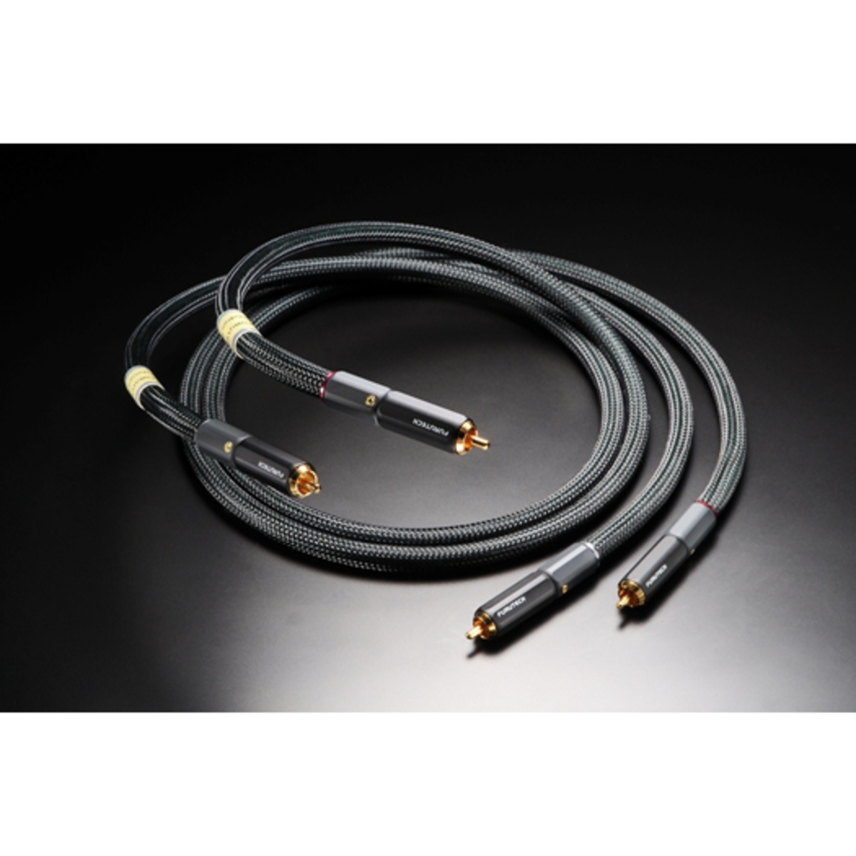 Evolution AudioⅡ(RCA)