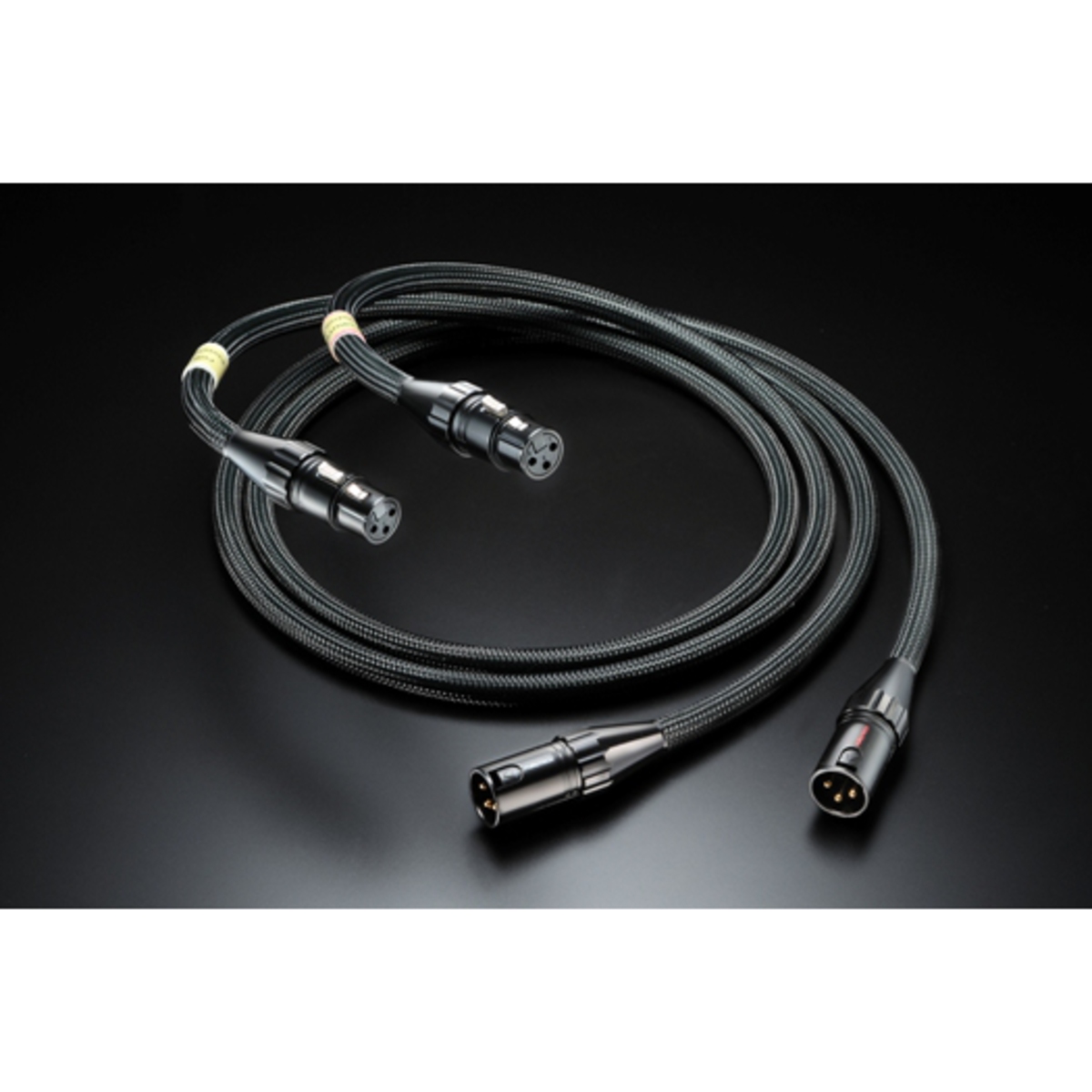 Evolution AudioⅡ(XLR)
