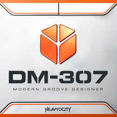 DM-307