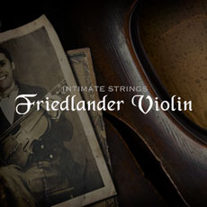 FRIEDLANDER VIOLIN
