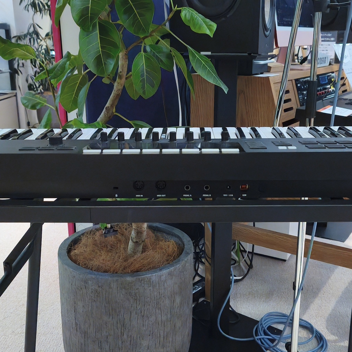 KOMPLETE KONTROL S61 MK2