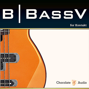 BBASSV ELECTRIC BASS
