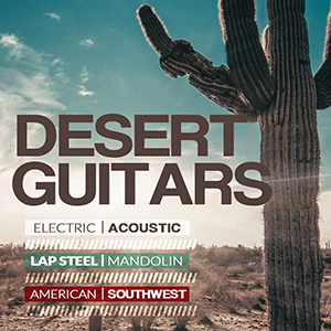DESERT GUITARS