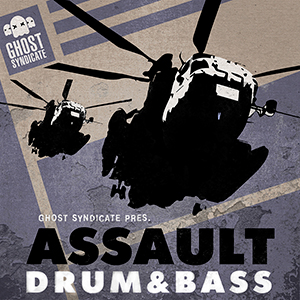 ASSAULT DNB