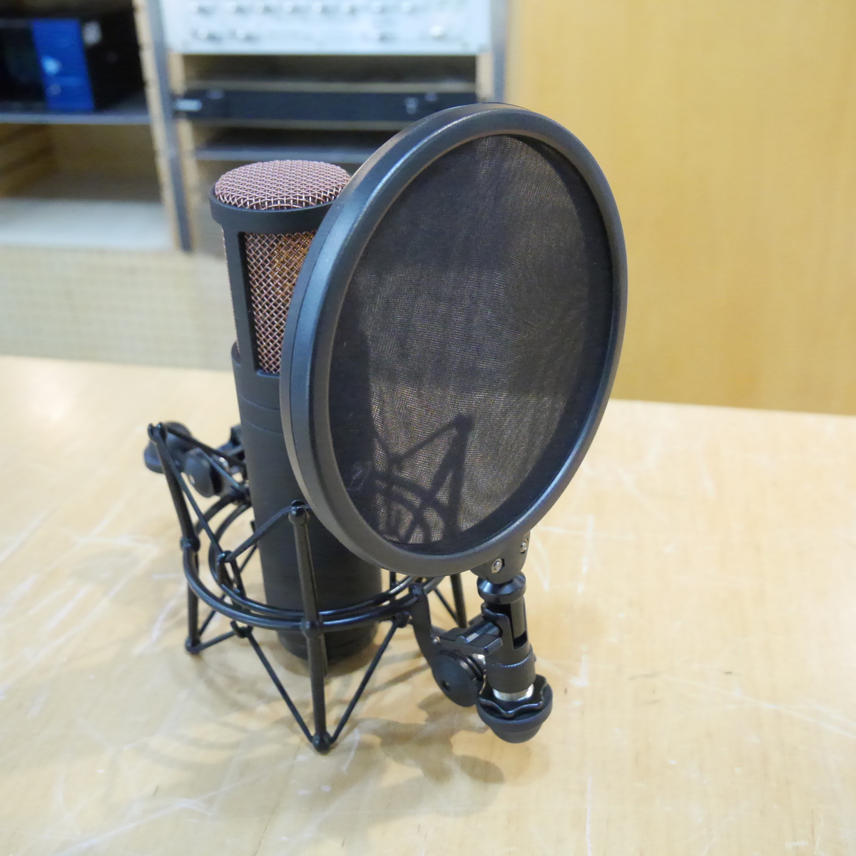 [訳あり]Edge Duo Modeling Mic