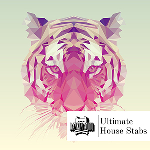 ULTIMATE HOUSE STABS