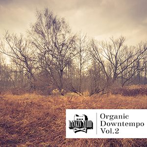 ORGANIC DOWNTEMPO VOL. 2