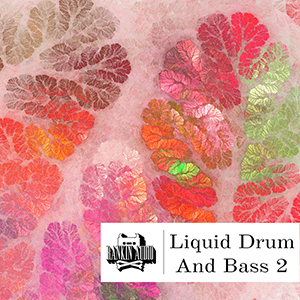 LIQUID DRUM & BASS 2