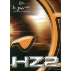 HIT ZONE 2