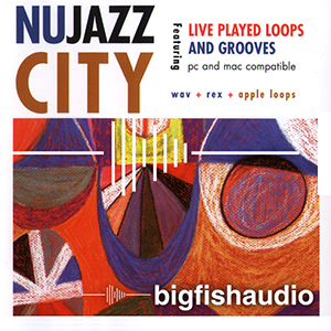 NU JAZZ CITY