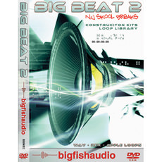 BIG BEAT 2 NU SKOOL BREAKS