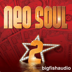 NEO SOUL 2