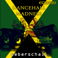 DANCEHALL MADNESS / ELASTIK