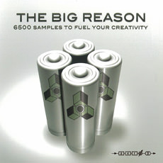 THE BIG REASON
