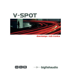 V SPOT
