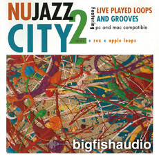 NU JAZZ CITY 2