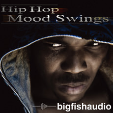 HIP HOP MOOD SWINGS