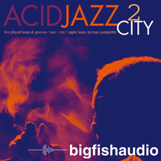 ACID JAZZ CITY 2