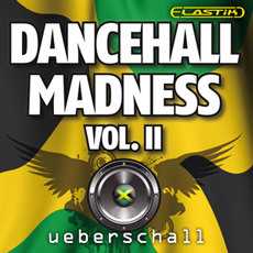 DANCEHALL MADNESS VOL.2 / ELASTIK