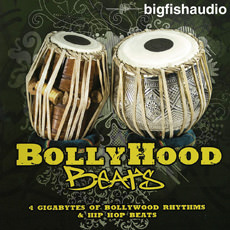 BOLLYHOOD BEATS