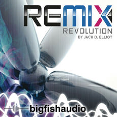 REMIX REVOLUTION
