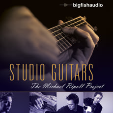 STUDIO GUITARS / THE MICHAEL RIPOLL PROJECT