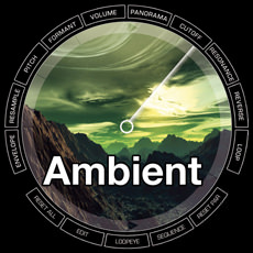 AMBIENT / ELASTIK