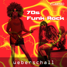 70s FUNK ROCK / ELASTIK