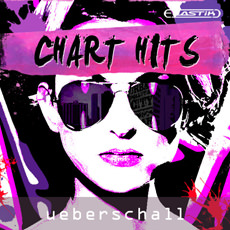 CHART HITS / ELASTIK