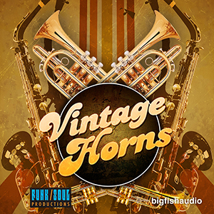 VINTAGE HORNS