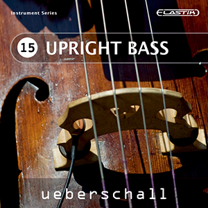 UPRIGHT BASS / ELASTIK