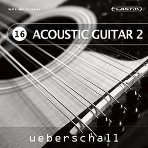 ACOUSTIC GUITAR 2 / ELASTIK