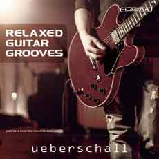 RELAXED GUITAR GROOVES / ELASTIK