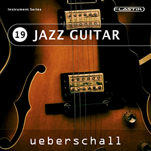 JAZZ GUITAR / ELASTIK