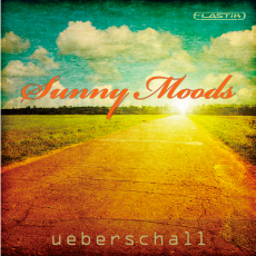 SUNNY MOODS / ELASTIK
