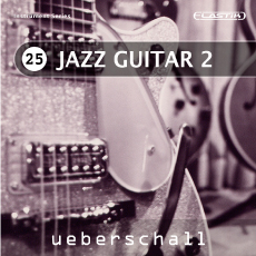 JAZZ GUITAR 2 / ELASTIK
