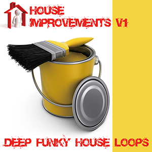 HOUSE IMPROVEMENTS