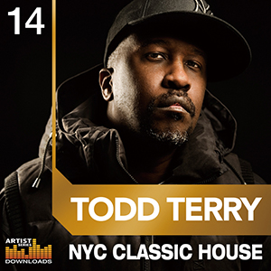 TODD TERRY / NYC CLASSIC HOUSE